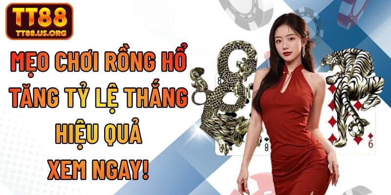 Mẹo Chơi Rồng Hổ – 5 Bí Quyết Tăng Tỷ Lệ Thắng Từ Cao Thủ