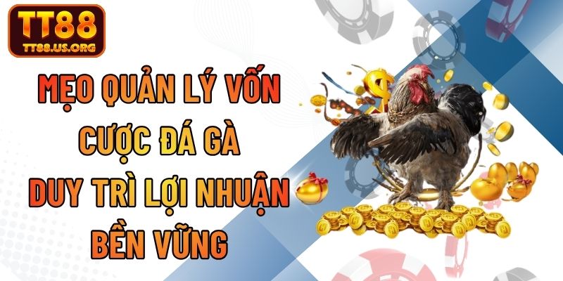 Mẹo Quản Lý Vốn Cược Đá Gà Duy Trì Lợi Nhuận Bền Vững